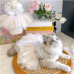 【Anelekor】 Fancy Dog Dresses with Leash Ring, Embroidered Dog Wedding Dress, Bow Puppy Clothes for Small pet Girl Multi-Layer Lace Tutu Cat Outfit for Kitten Chihuahua Yorkie,X-Large