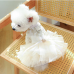 【Anelekor】 Fancy Dog Dresses with Leash Ring, Embroidered Dog Wedding Dress, Bow Puppy Clothes for Small pet Girl Multi-Layer Lace Tutu Cat Outfit for Kitten Chihuahua Yorkie,X-Large